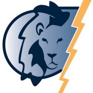 A J Leo Electric & Solar logo